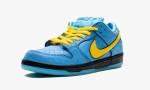 Nike SB Dunk Low Powerpuff Girls Bubbles